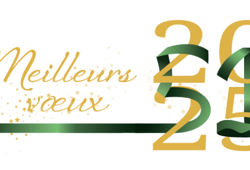 Belle et heureuse année 2025 !