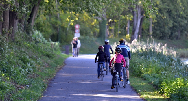 Balade bord de online marne velo